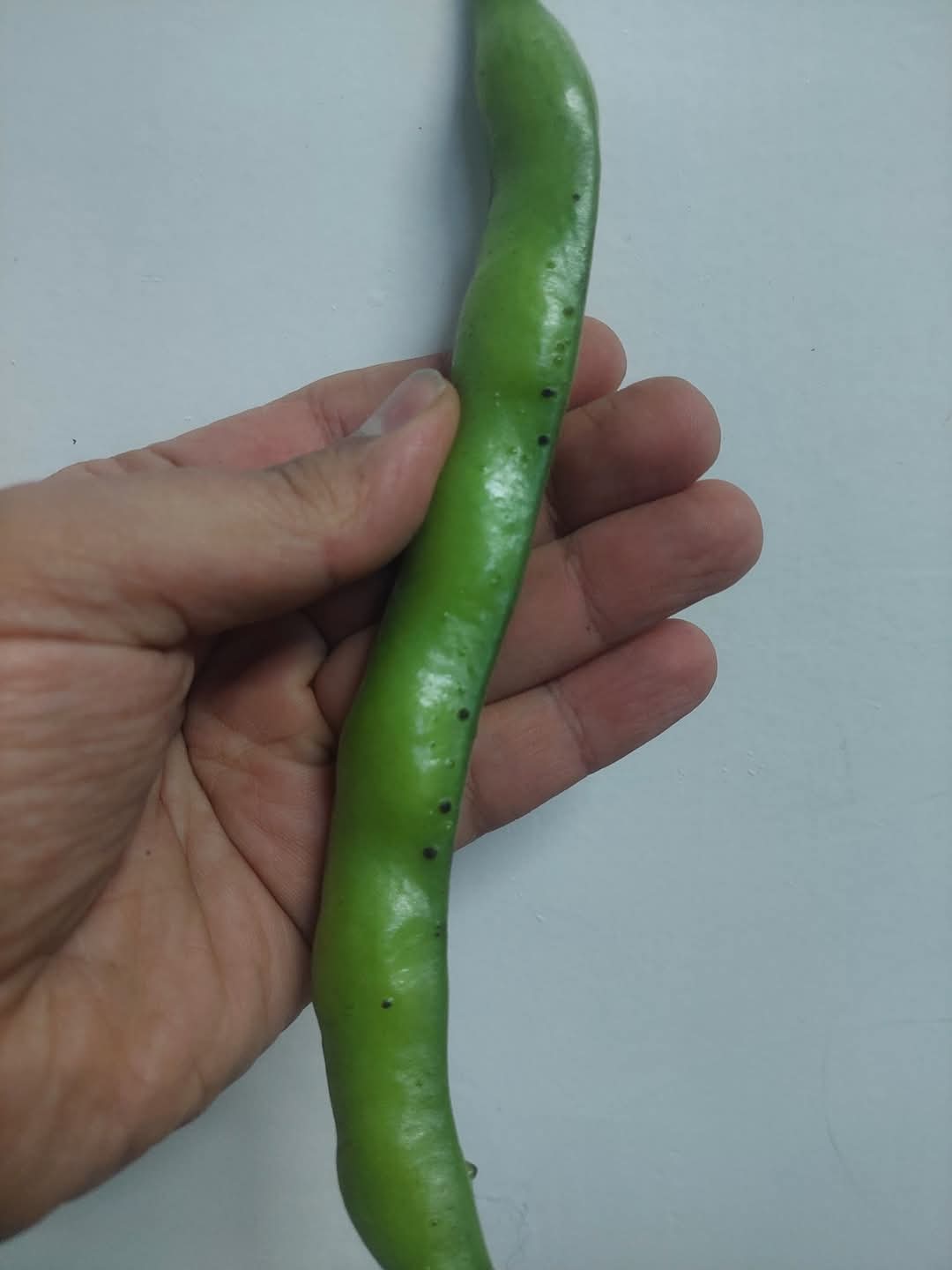 العلاج من فضلكم