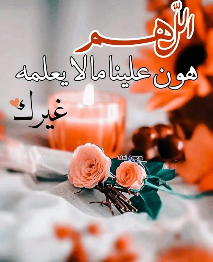ماهو سبب إحمرار البرسيم بعد الري - سبب احمرار البرسيم بعد الري