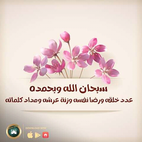 ماهو علاج الندوات المبكره فى الطماطم  - لو سمحت كنت حبب اعرف علاج الندوات المبكره فى الطماطم حيث اعانى من وجود ندوه مبكره فى محصول الطماطم هذا العام 