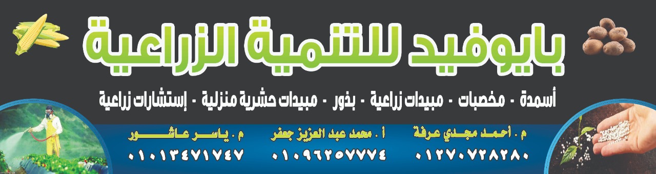 ثقوب باوراق الباميه والكرنب - ثقوب باوراق الباميه والكرنب
