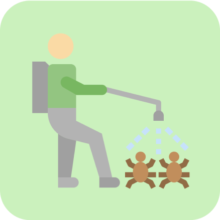 sprouts icon