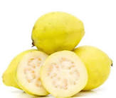 دلائل جودة الجوافة