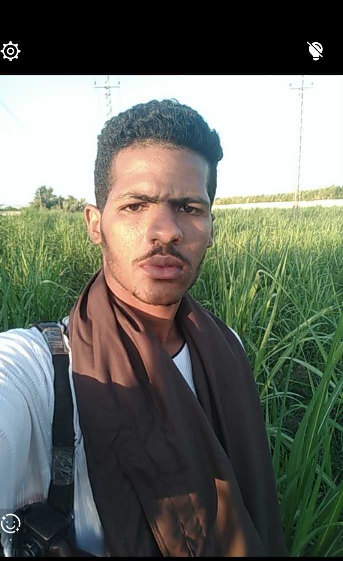 عايز اخلي لون القصب اخضر غامص