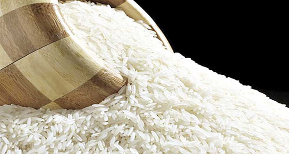 وكيل معهد البساتين: محصول الأرز ٥ ملايين طن ويكفى الاستهلاك المحلى