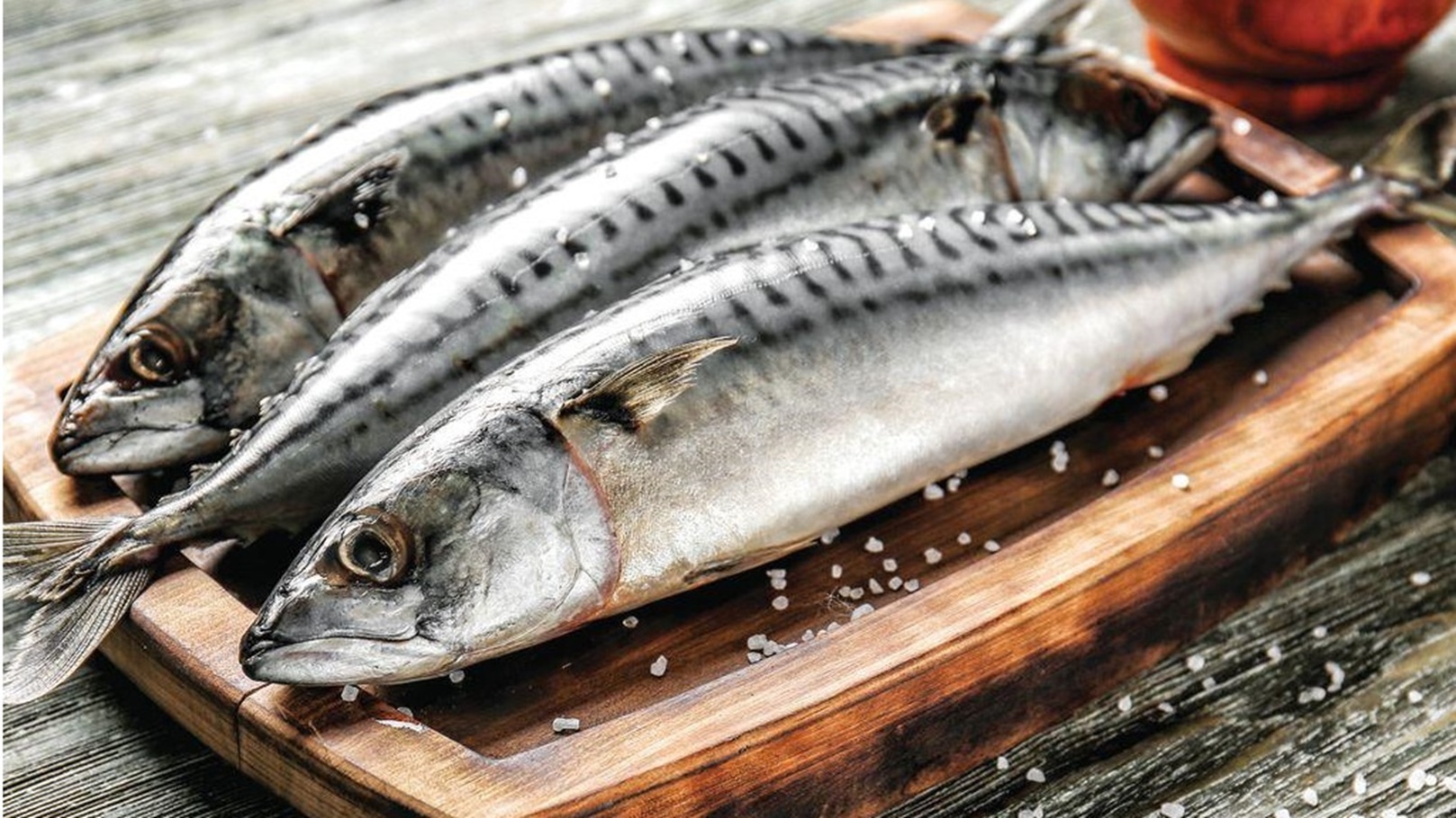 الحكومة تؤكد عدم رصد دخول أي أسماك مستوردة مشعة في الأسواق