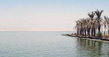 النائب رائف تمراز : وزارة الزراعة أخفقت فى ملف تطهير البحيرات السمكية