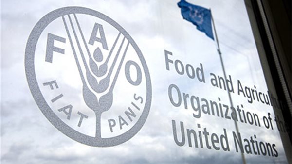 منظمة الفاو تحذر من أزمة في إمدادات الغذاء