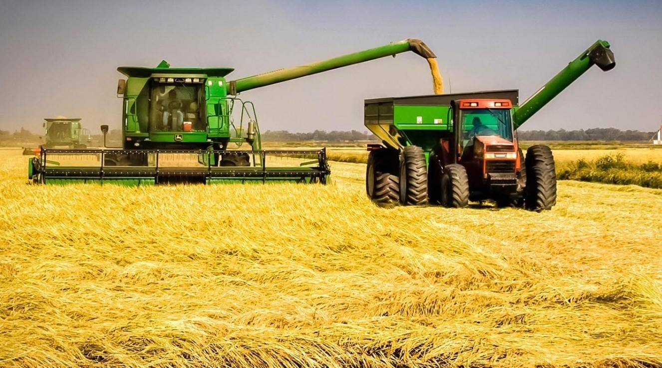 جمعية المزارعين الألمان تحث على زيادة زراعة الحبوب بسبب نقصها عالميا