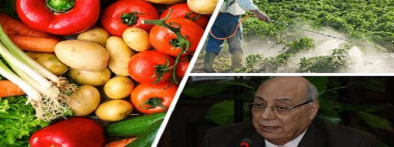 الزراعة تنفذ برنامجا وطنيا لرصد "بواقى" المبيدات بأسواق الخضر والفاكهة